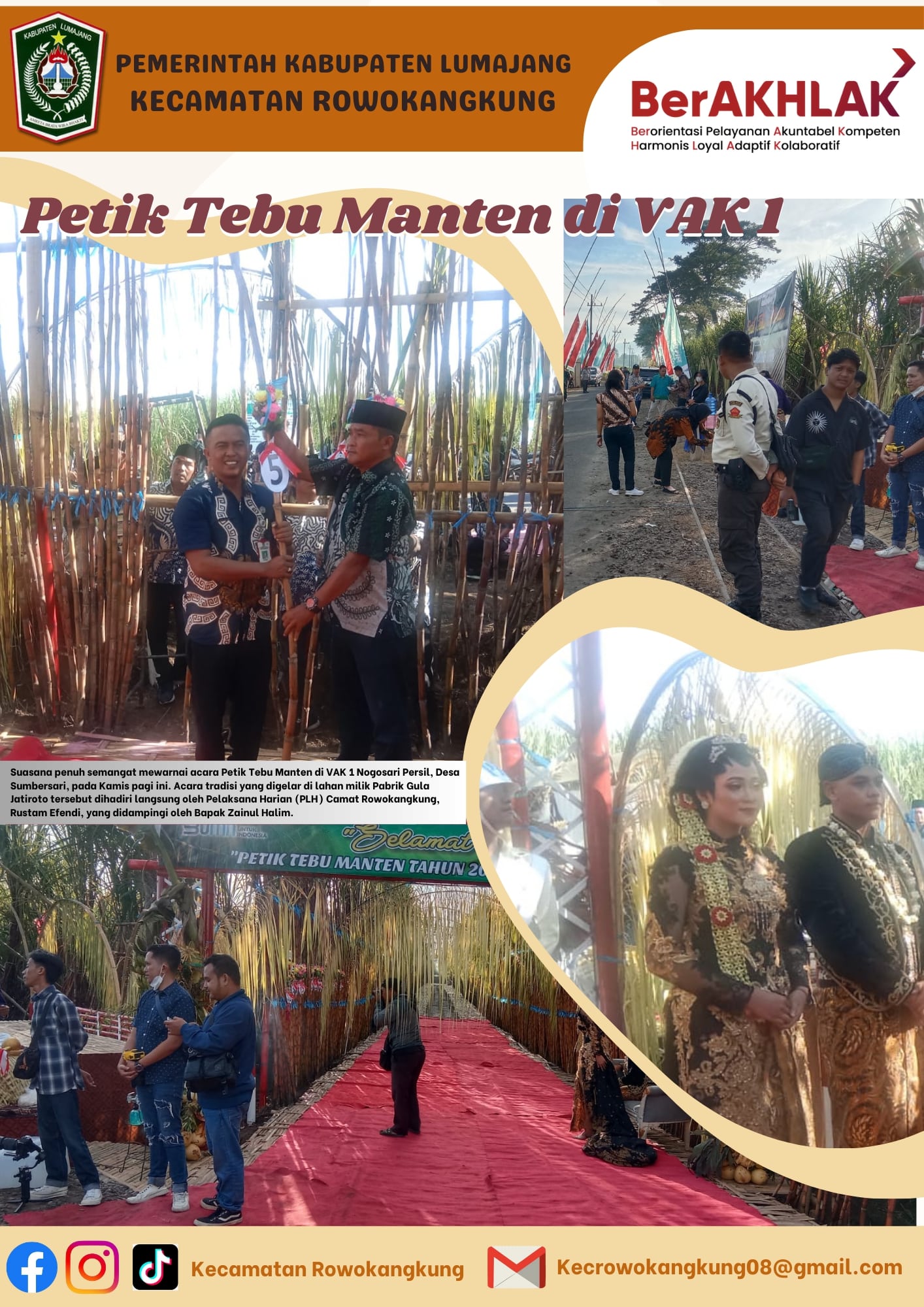 Petik Tebu Manten di VAK 1 Nogosari Persil Desa Sumbersari